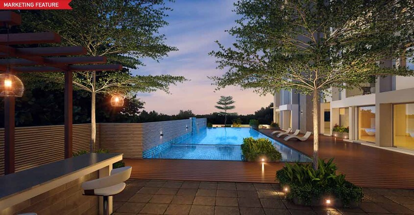 asset-pool asset-pool