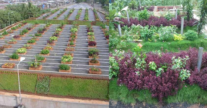 recycle-water-using-garden recycle-water-using-garden