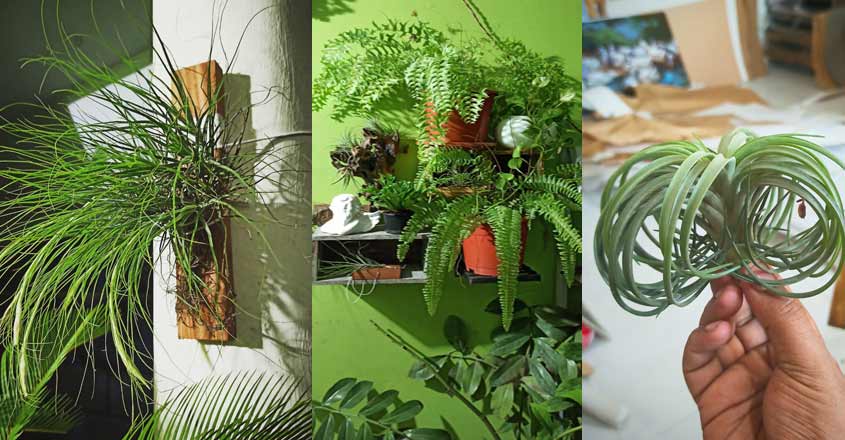 art-garden art-garden