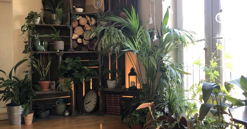 garden-home-inside garden-home-inside
