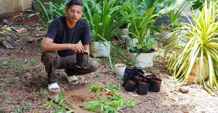 garden-making garden-making