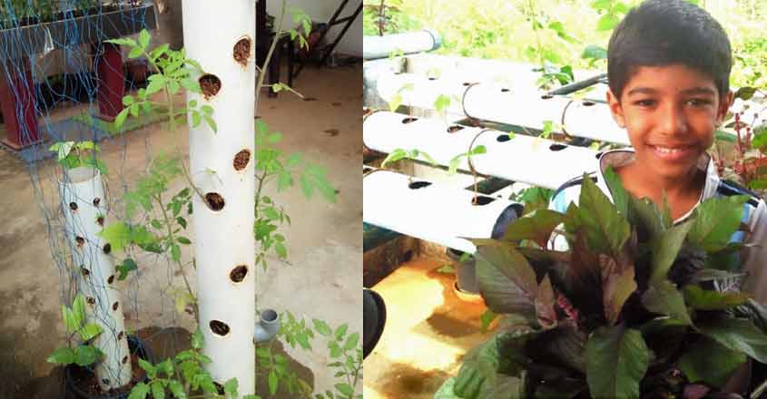 pipe-farming pipe-farming