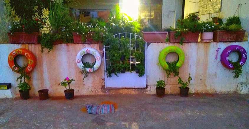 vegatble-garden-home-bengaluru vegatble-garden-home-bengaluru