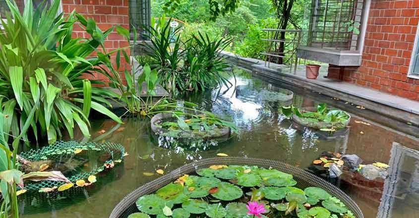 patel-family-pool patel-family-pool