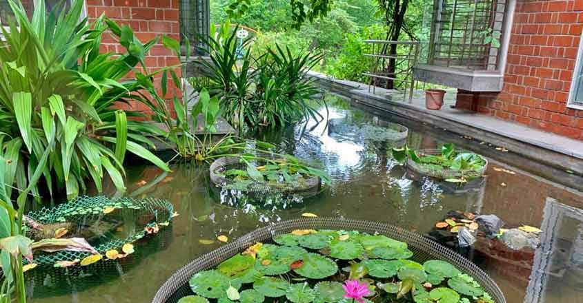 patel-family-pool patel-family-pool