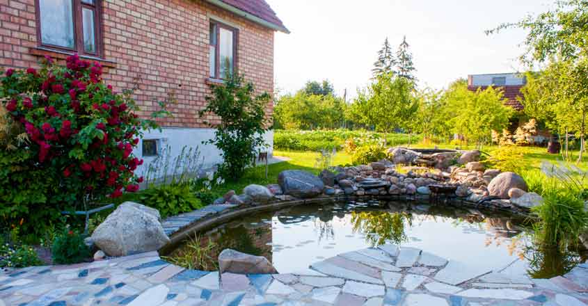 home-pond-garden home-pond-garden