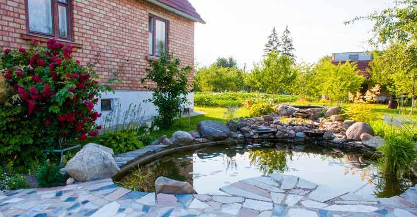 home-pond-garden home-pond-garden