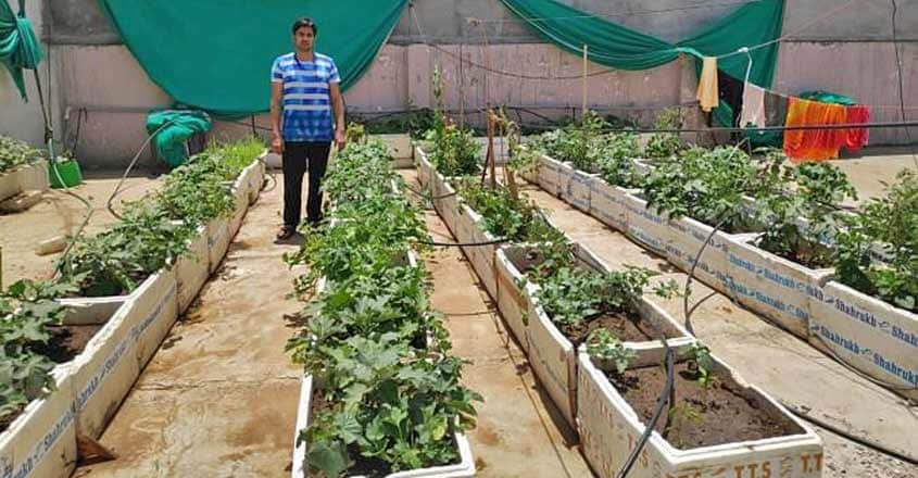 terrace-garden-youth terrace-garden-youth