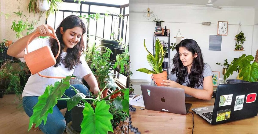 garden-youtube-office garden-youtube-office