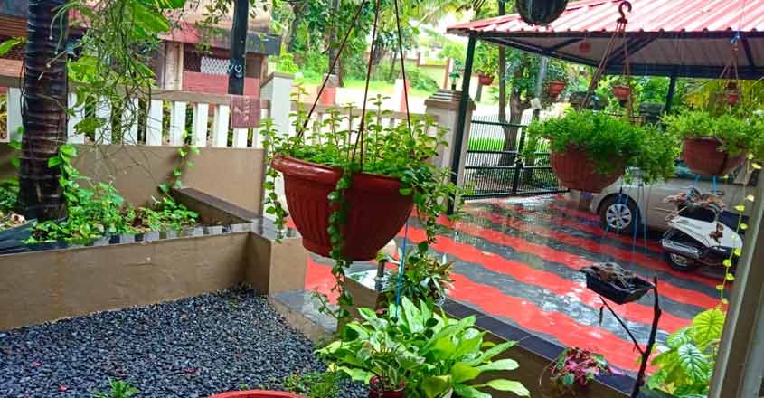 garden-house-plants garden-house-plants