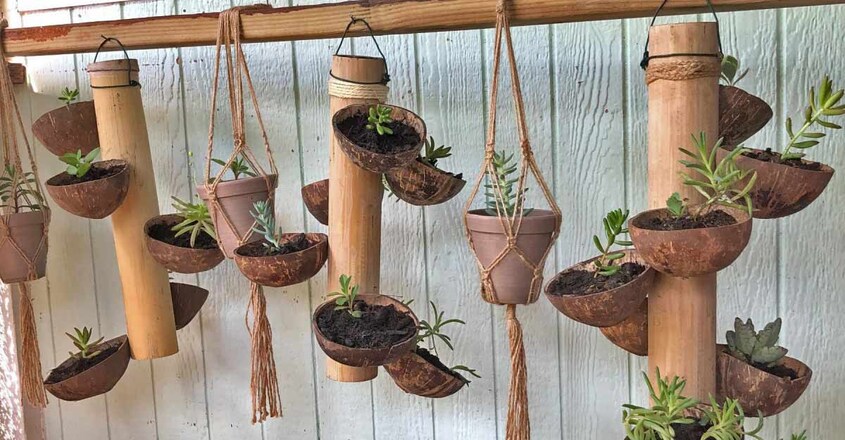 bamboo-vertical-garden bamboo-vertical-garden