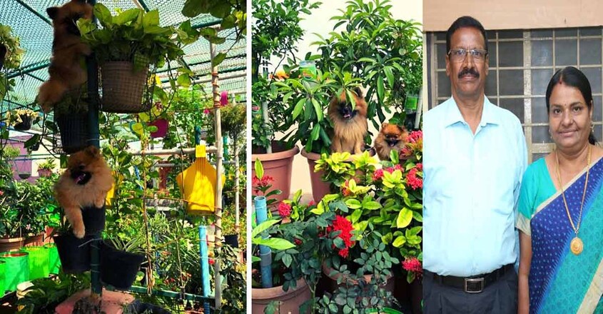 chennai-zero-waste-home chennai-zero-waste-home