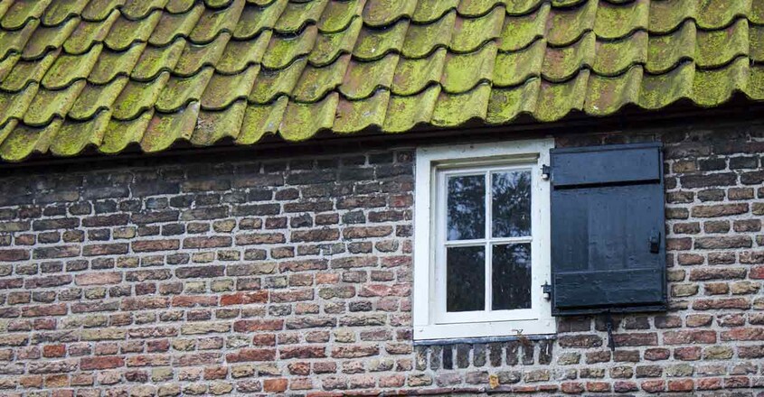 moss-house-roof moss-house-roof