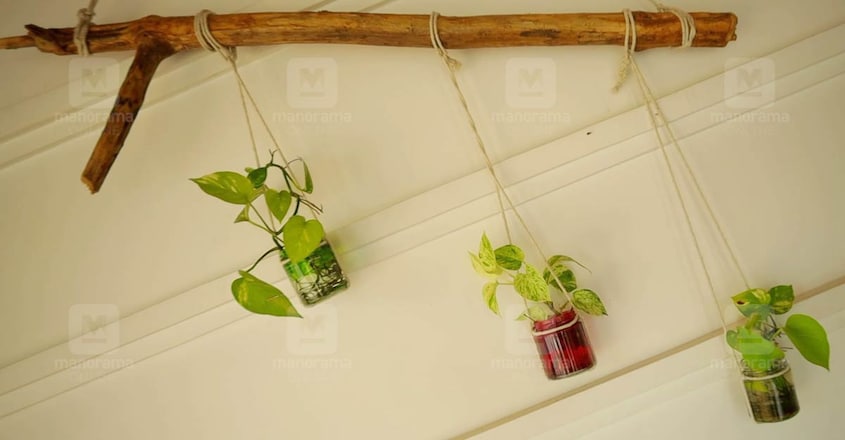 kerala-home-garden-hanging kerala-home-garden-hanging
