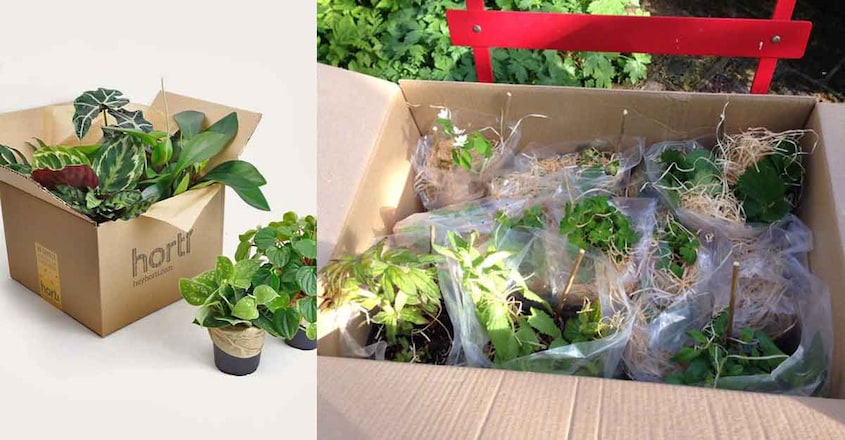 garden-online garden-online