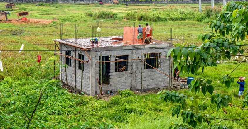 house-in-paddy-field house-in-paddy-field