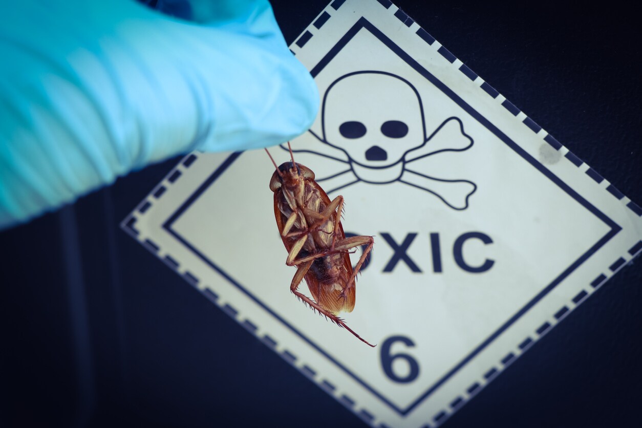 Preventing Cockroach Disasters The Dangers of Pesticides Near