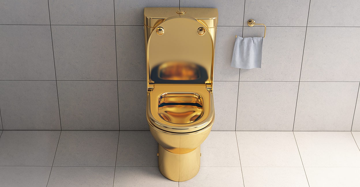 The Great Gold Toilet Heist: Thief Confesses to Stealing Rs 50 Crore ...