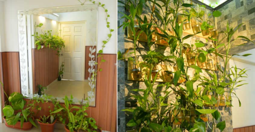 atulya-green-flat atulya-green-flat