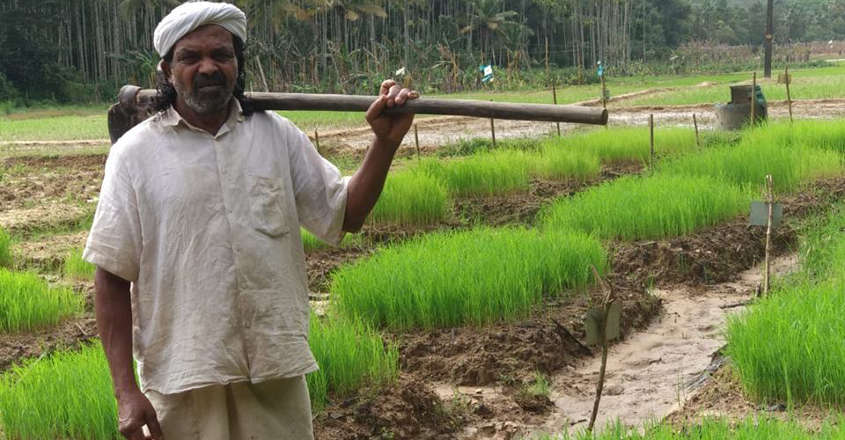 raman-krishi raman-krishi