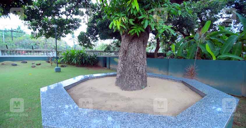 chittilappily-swapnaveedu-lawn chittilappily-swapnaveedu-lawn