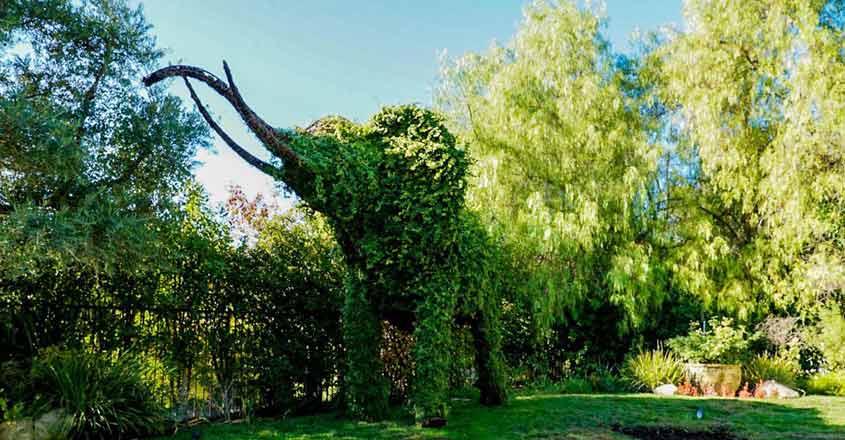 selena-gomez-home-garden selena-gomez-home-garden