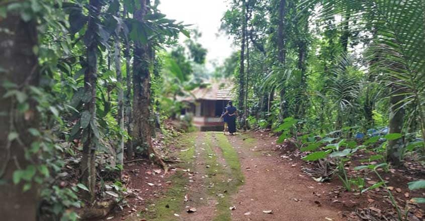 pangapad-yard pangapad-yard