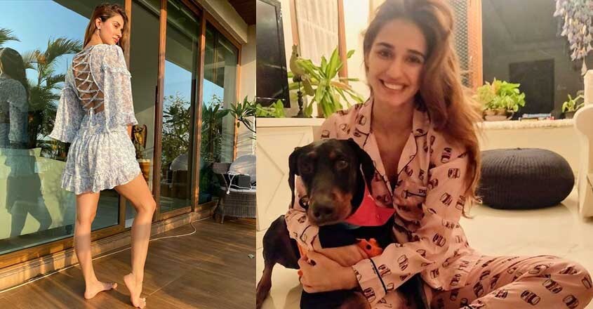 disha-patani-home-pet disha-patani-home-pet