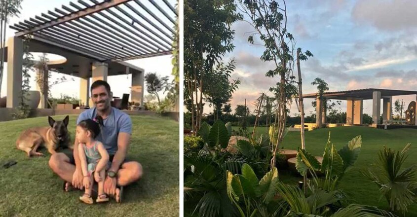 Dhoni-dog-friendly-home Dhoni-dog-friendly-home