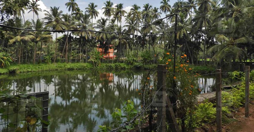 varikasheri-mana-pond varikasheri-mana-pond