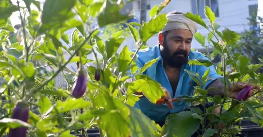 lal-home-farming lal-home-farming