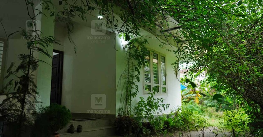 binoy-karikku-home-plant binoy-karikku-home-plant