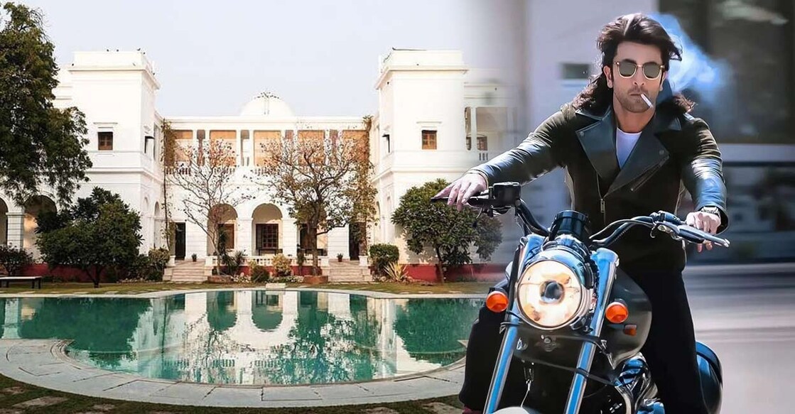 animal-pataudi animal-pataudi