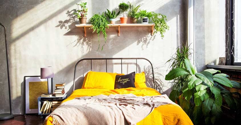 bedroom-with-plants bedroom-with-plants