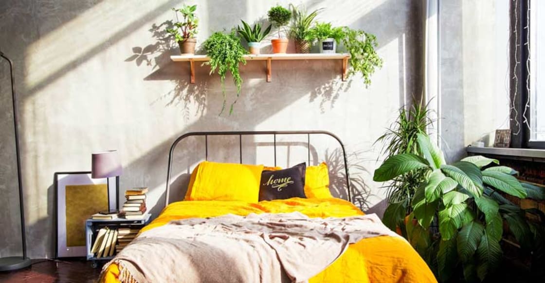 bedroom-with-plants bedroom-with-plants