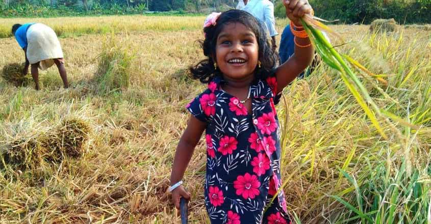 Kids-Farmer-Mahalakshmi Kids-Farmer-Mahalakshmi