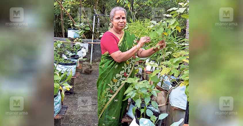 agri-award-sudhamani agri-award-sudhamani