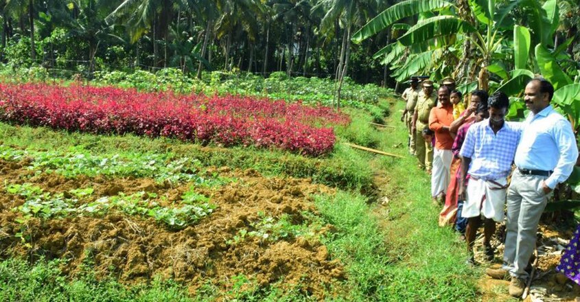 farmer-who-inspired7 farmer-who-inspired7