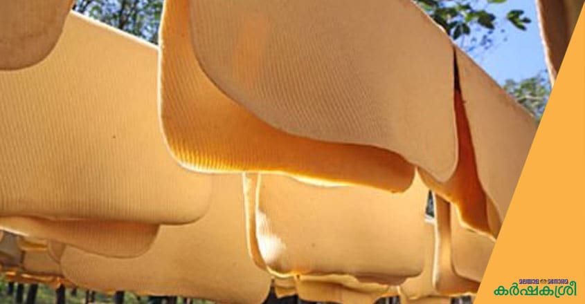 rubber-sheet rubber-sheet