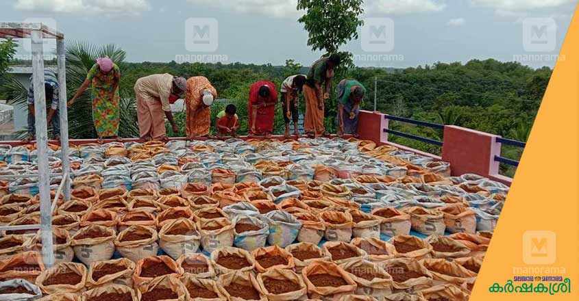 terrace-farming-1 terrace-farming-1