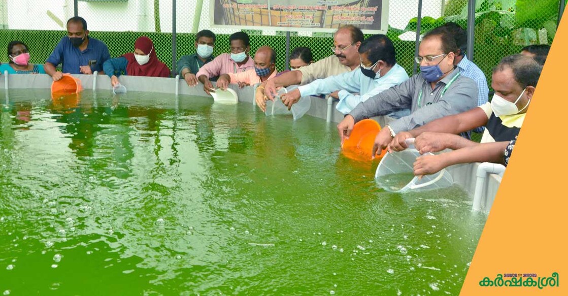 cmfri-fish-farming cmfri-fish-farming