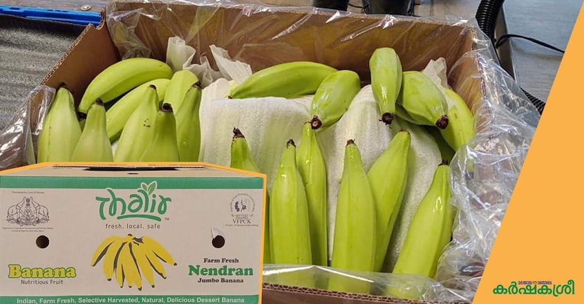 banana-thalir banana-thalir