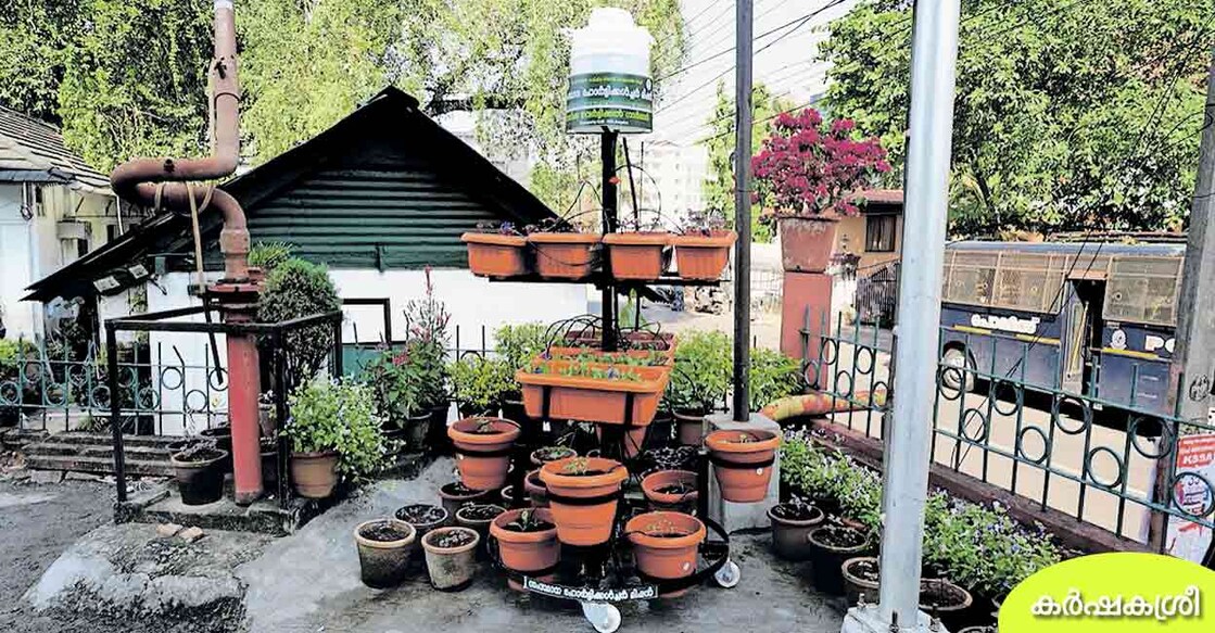 vertical-farming-12 vertical-farming-12