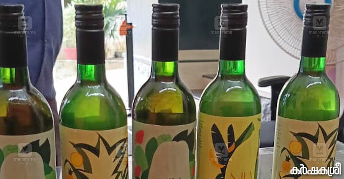 wine wine