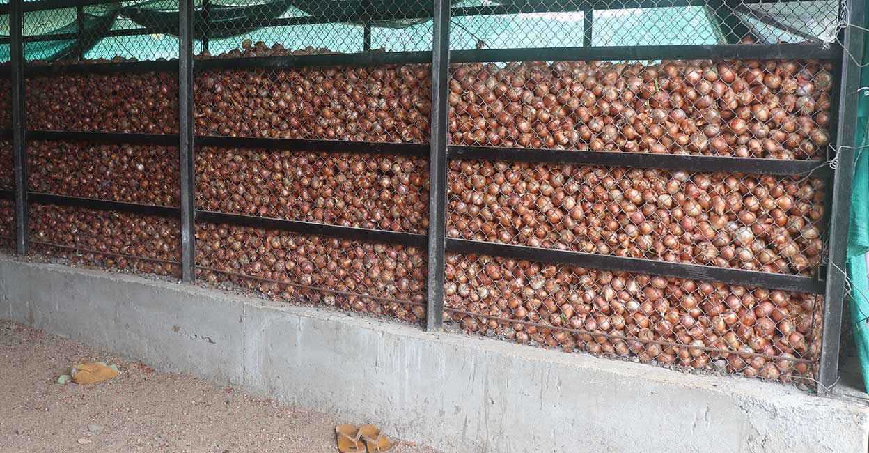 ഉള്ളി സൂക്ഷിക്കാൻ 50 അഥവാ പരമാവധി 87,500 രൂപ ധനസഹായം Government is