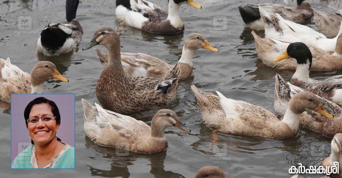 duck-vaccine ഇൻസെറ്റിൽ ഡോ. പി.എം.പ്രിയ