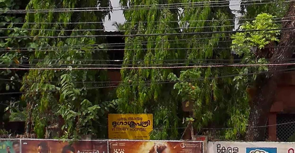 pandalam-vet-hospital pandalam-vet-hospital