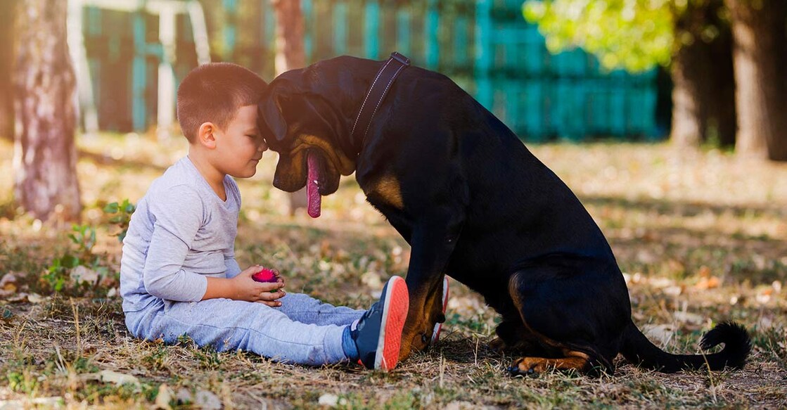 rott Image Credit: ciricvelibor/iStockPhoto
