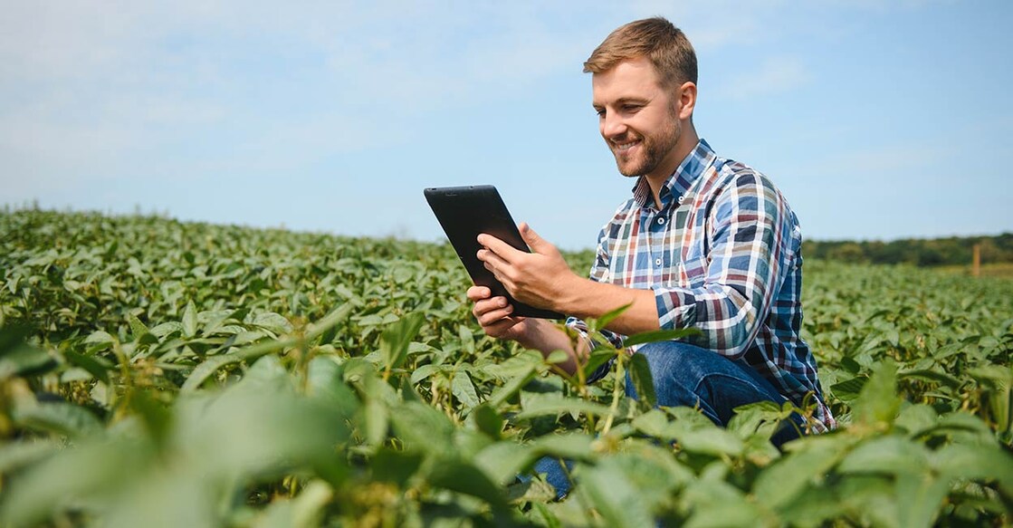 agriculture representational image. Image credit: Serhii Hryshchyshen/iStockPhoto