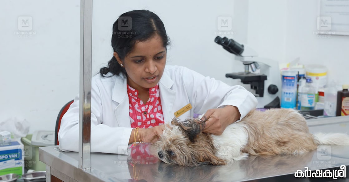 veterinary-doctor veterinary-doctor